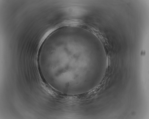 X0000090930147200707301602