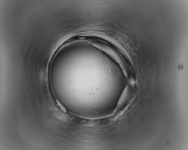 X0000090930148200707301602
