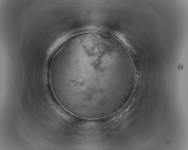 X0000090930149200707301602