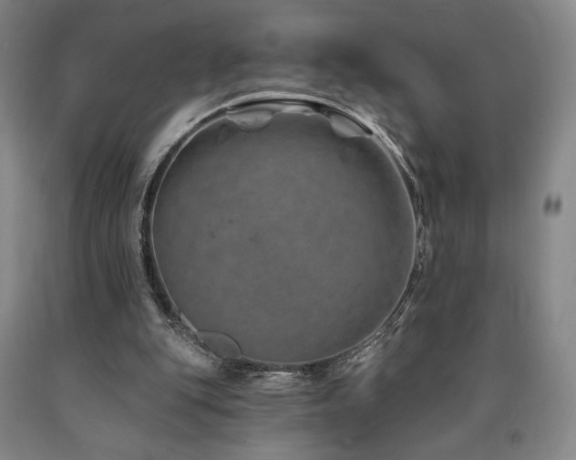 X0000090930151200707301602