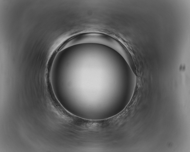 X0000090930152200707301602