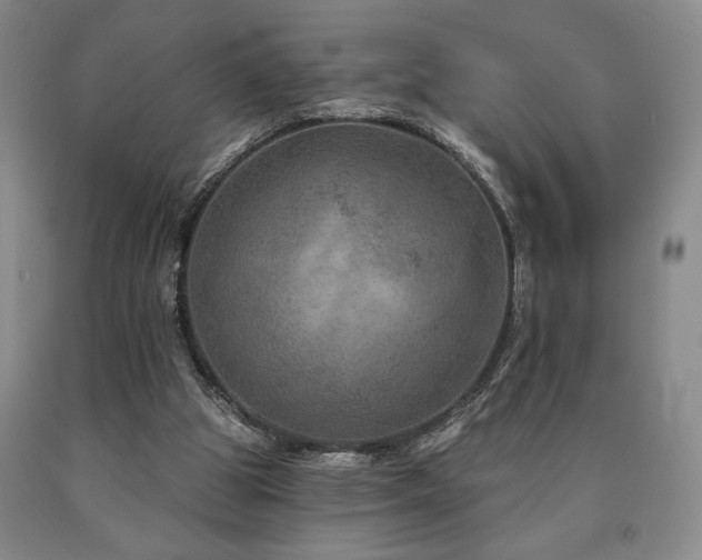 X0000090930153200707301602