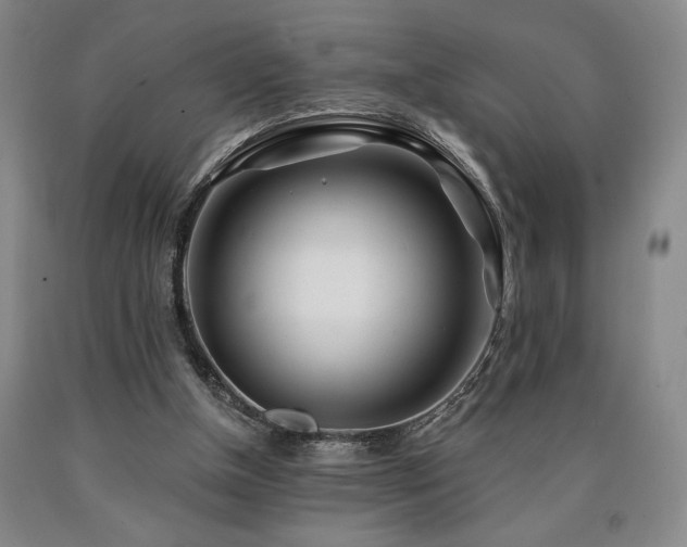 X0000090930154200707301602