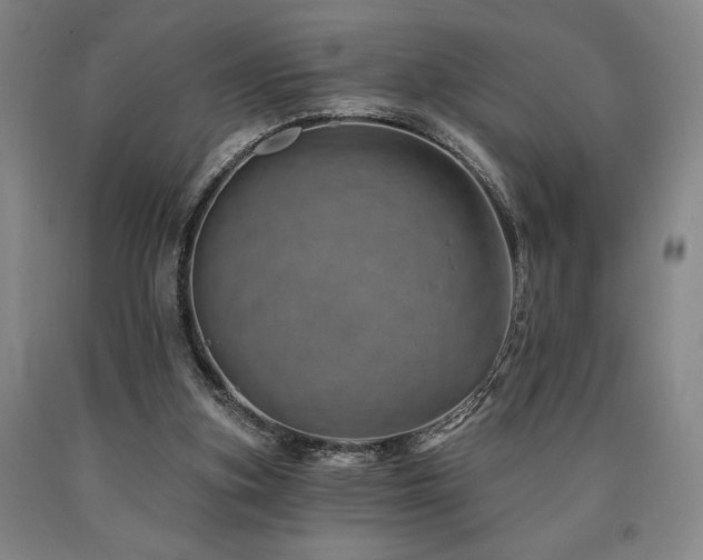 X0000090930155200707301603