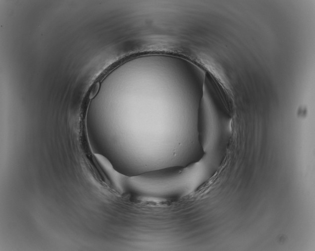 X0000090930156200707301603