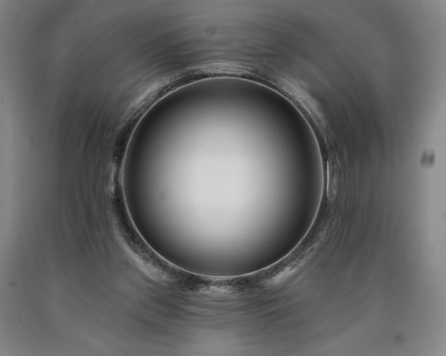 X0000090930157200707301603