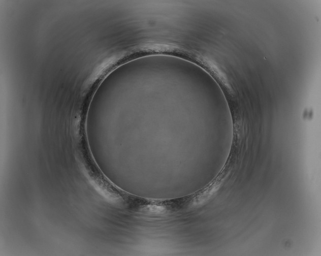 X0000090930159200707301603
