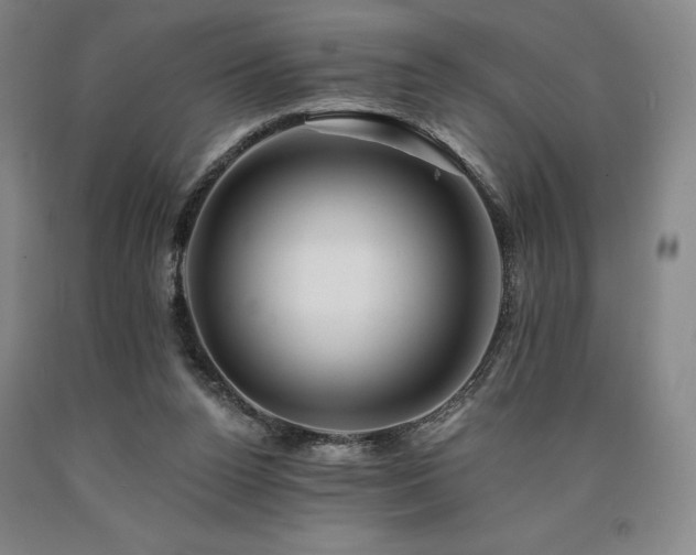 X0000090930160200707301603