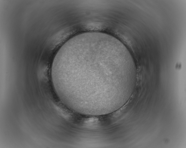 X0000090930162200707301603