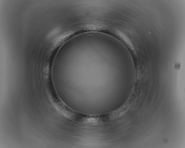 X0000090930163200707301603