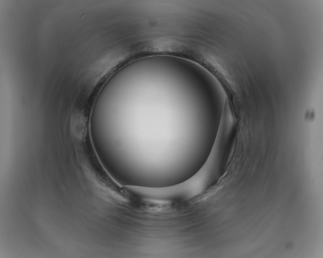 X0000090930164200707301603
