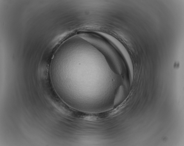 X0000090930168200707301603