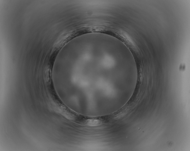 X0000090930169200707301603
