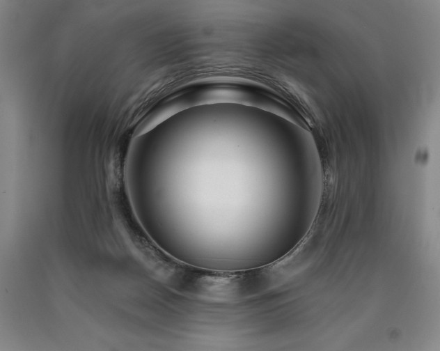 X0000090930170200707301603