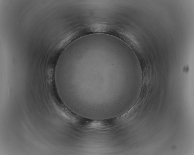 X0000090930171200707301603