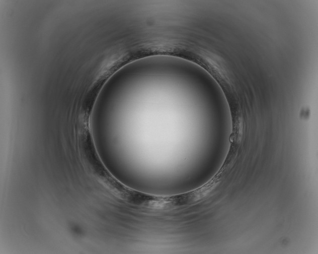 X0000090930172200707301603