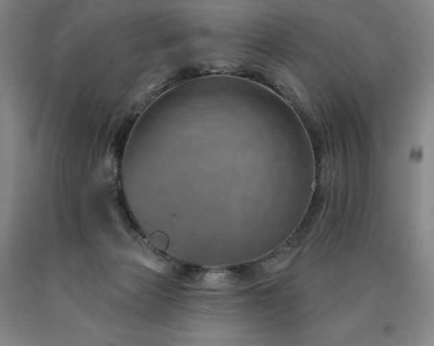 X0000090930173200707301603