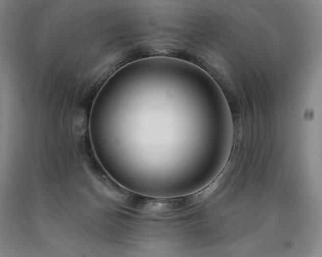 X0000090930174200707301603