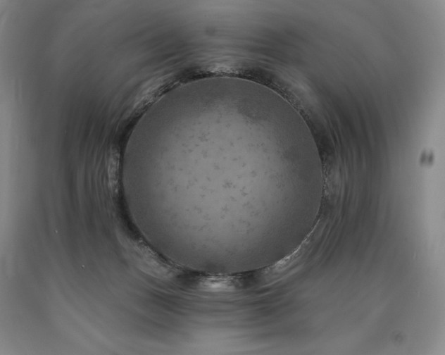 X0000090930175200707301603