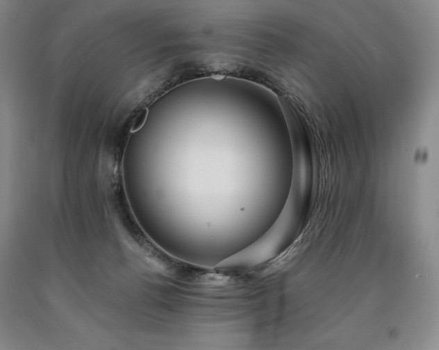 X0000090930176200707301603
