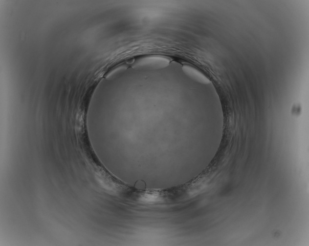 X0000090930177200707301603