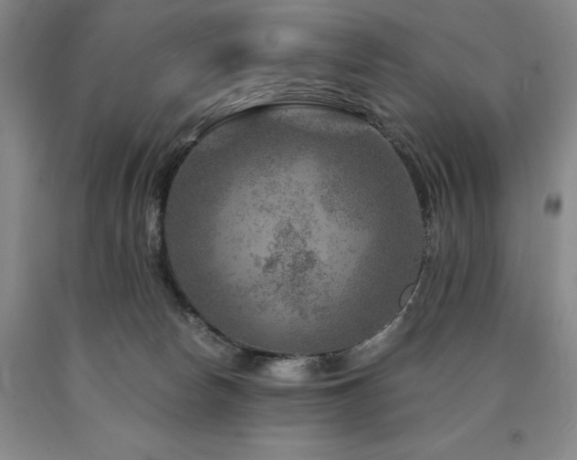 X0000090930178200707301603