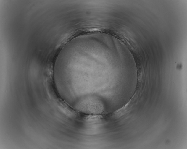 X0000090930179200707301603