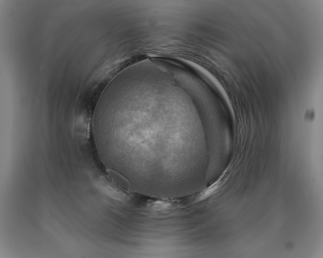 X0000090930180200707301603
