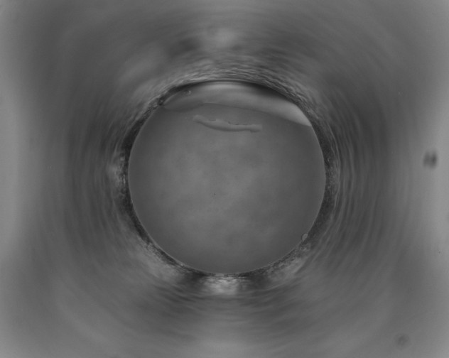 X0000090930181200707301603