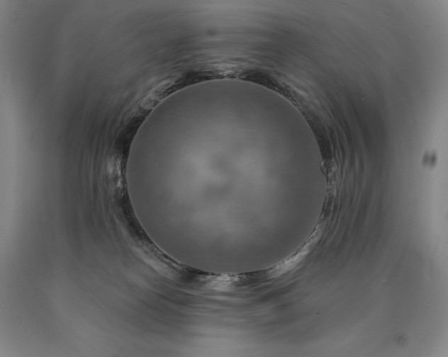 X0000090930182200707301603