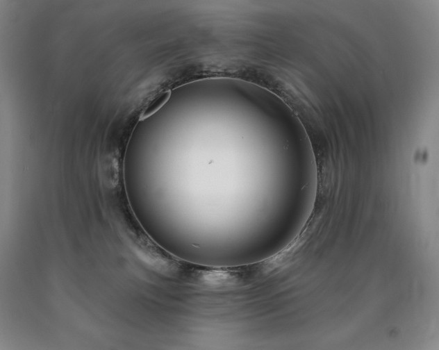 X0000090930183200707301603
