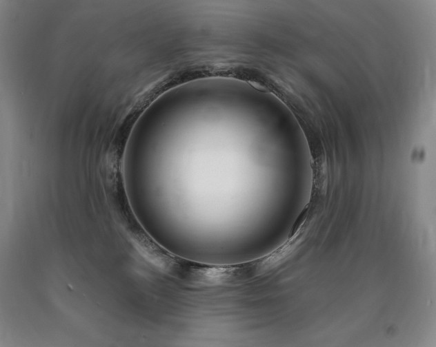 X0000090930184200707301603