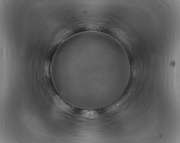 X0000090930185200707301603