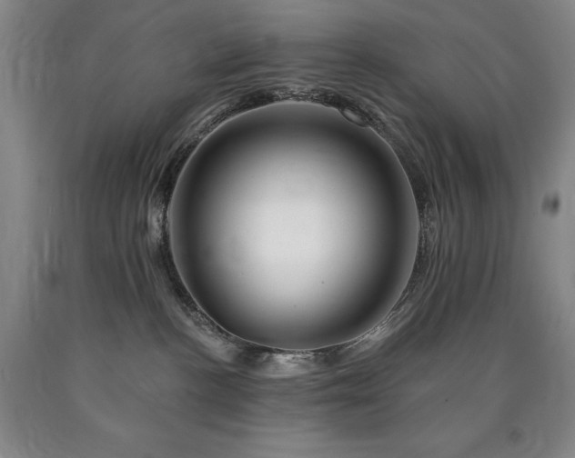 X0000090930188200707301603