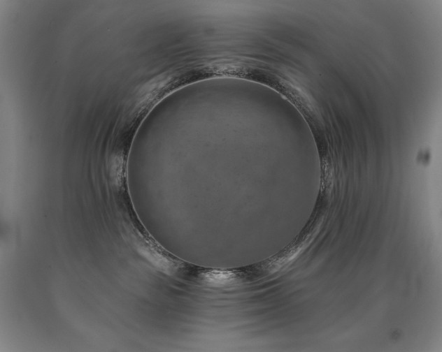 X0000090930189200707301603