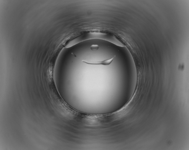 X0000090930190200707301603