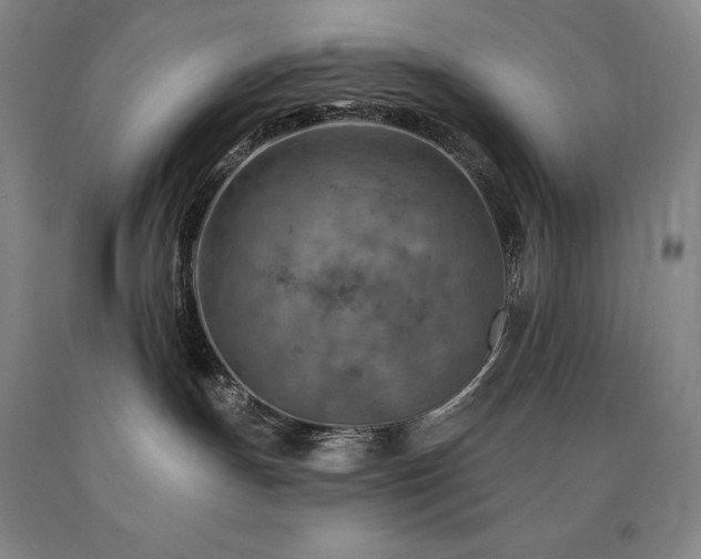 X0000090930191200707301603