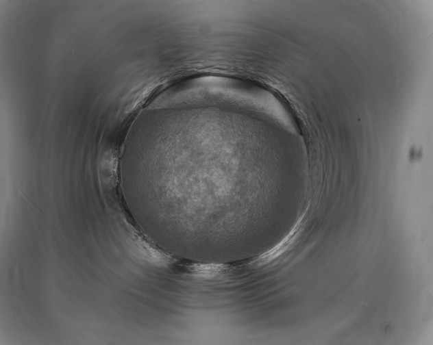 X0000090930192200707301603