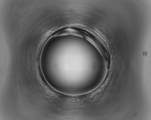X0000090930193200707301602