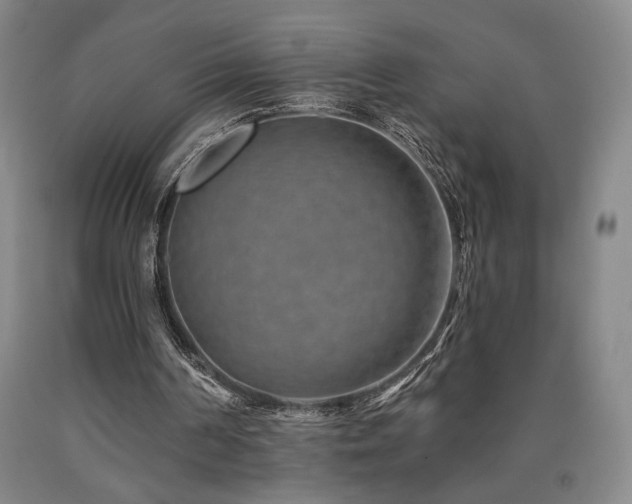 X0000090930194200707301602