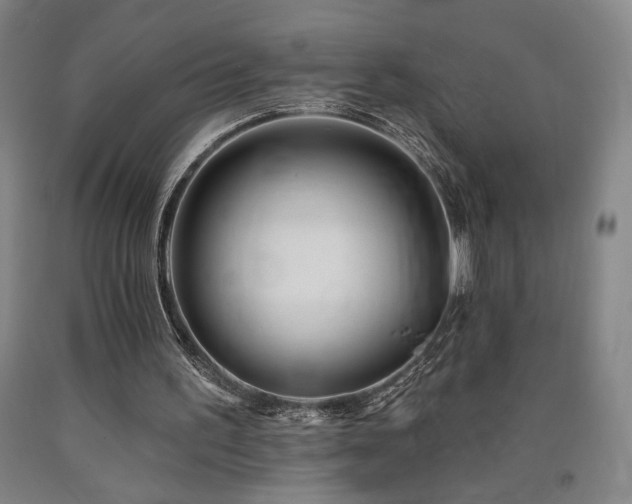X0000090930195200707301602