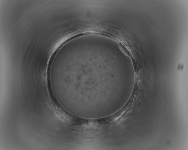 X0000090930196200707301602
