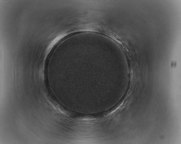 X0000090930200200707301602