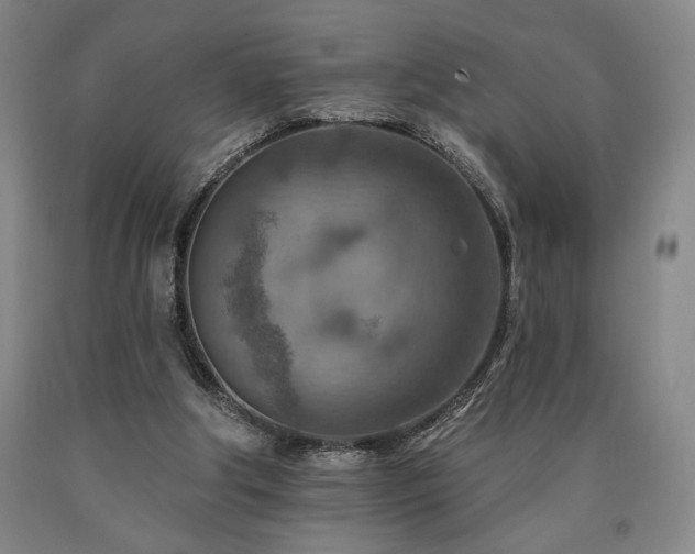 X0000090930202200707301602