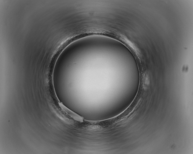 X0000090930203200707301602