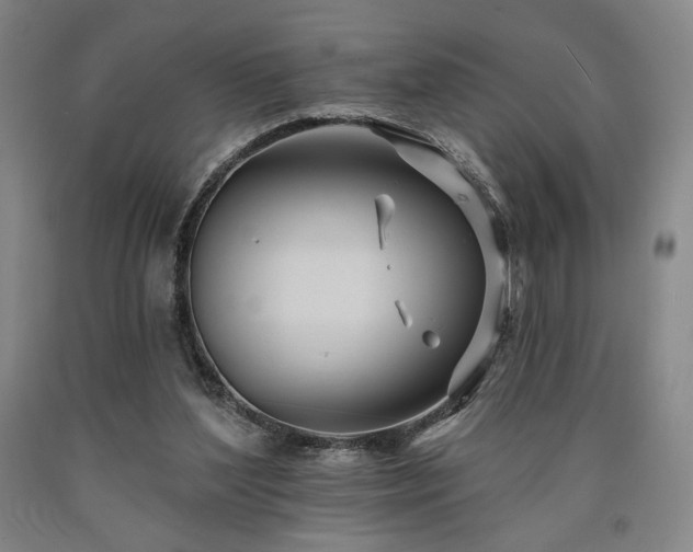 X0000090930204200707301602