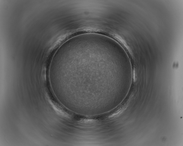 X0000090930205200707301602