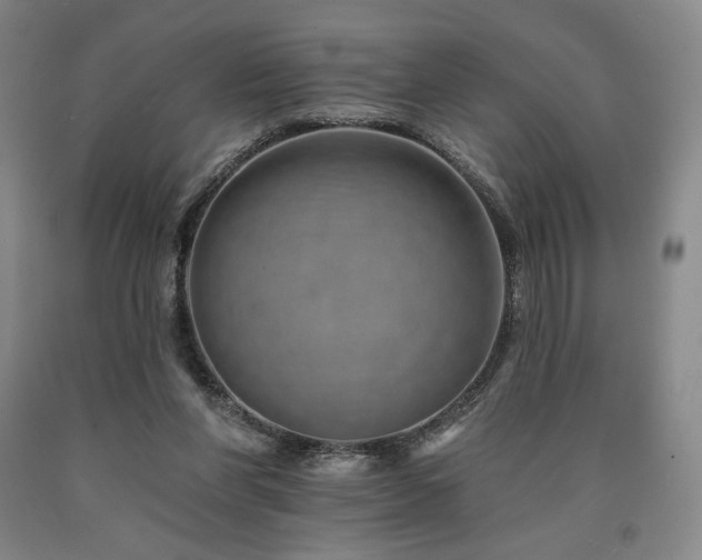 X0000090930206200707301602
