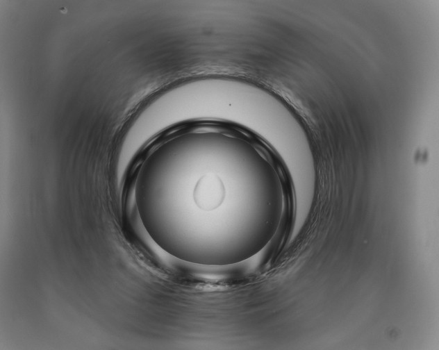 X0000090930207200707301602