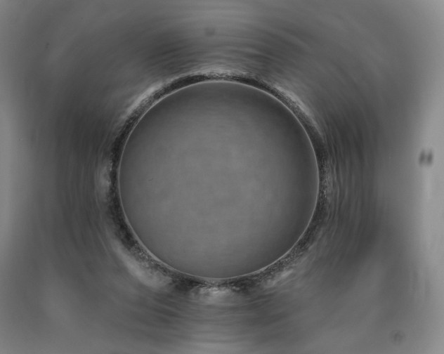 X0000090930208200707301602